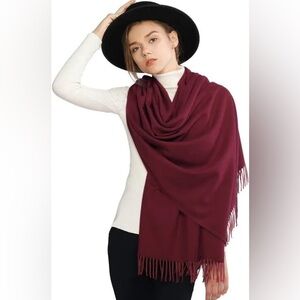 NWOT Pashmina gorgeous silk blended pashmina! Beautiful colors! Gorgeous!